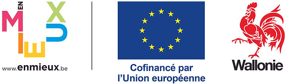 Union Européenne et Wallonie